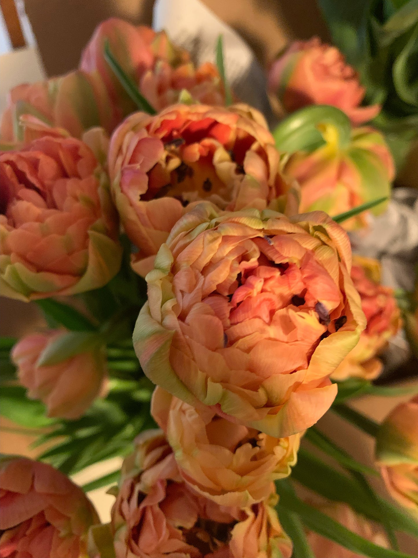 Tulip Bouquet