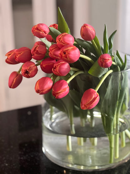 Wisconsin Tulips