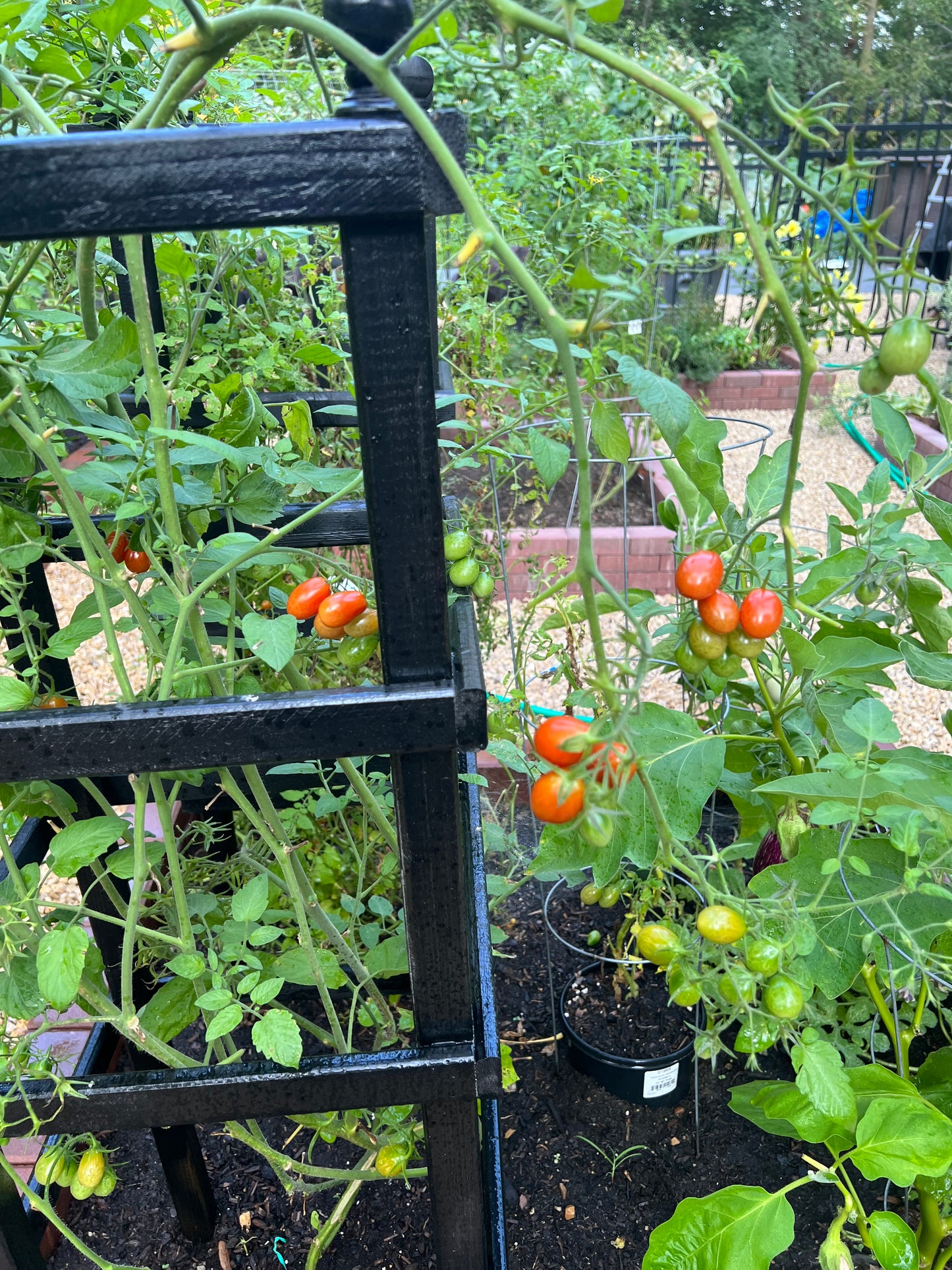 Spring Garden Sale | May 8th-10th