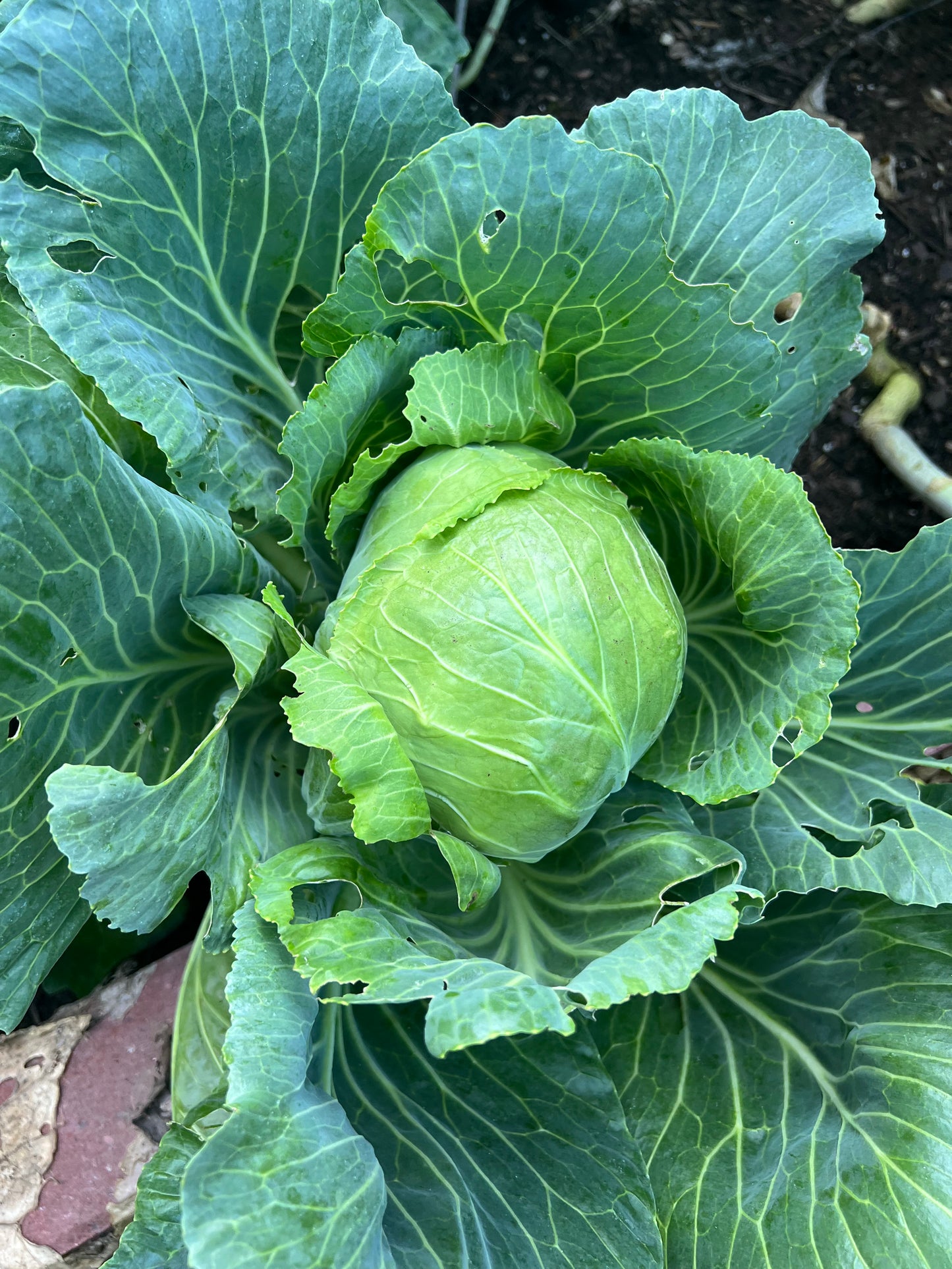 Spring Garden Sale | May 8th-10th