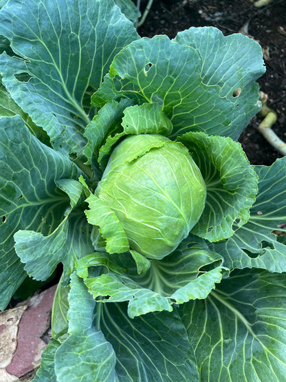 Spring Garden Sale | May 8th-10th