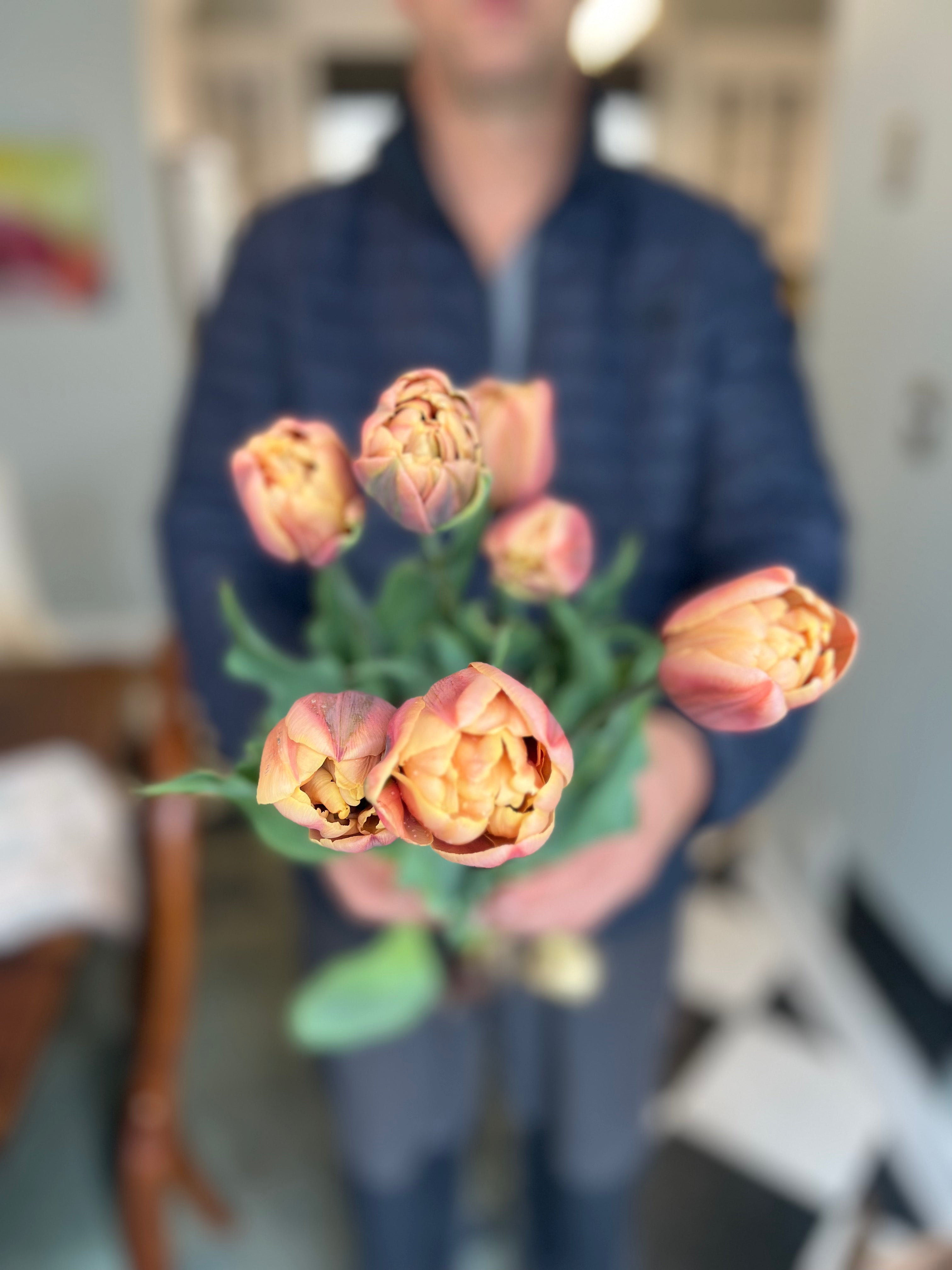 Order Wisconsin Tulip Bouquets from Halcyon Hill Gardens