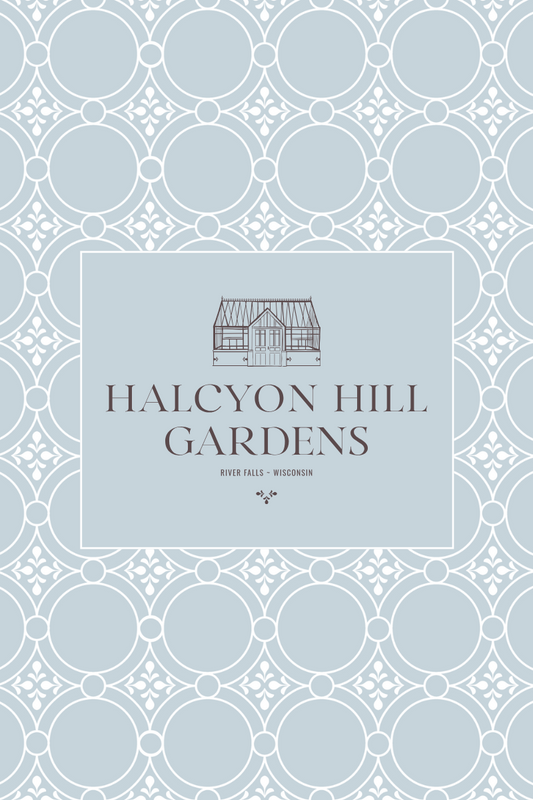 Herbs to Grow in Wisconsin 